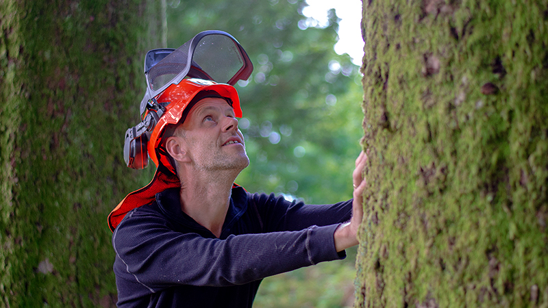 Anleggsgartnar Grimsbø