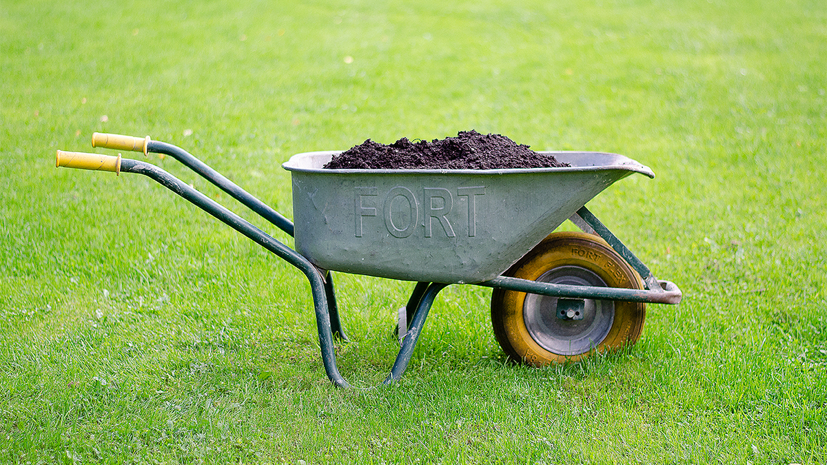 Trillebår plen vedlikehald